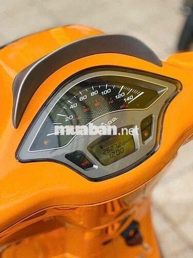 Vespa print ABS Đời 2016
