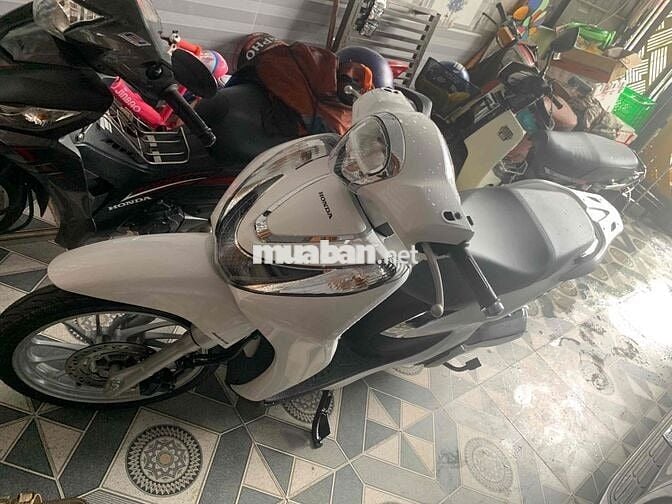 cần bán sh mod lướt