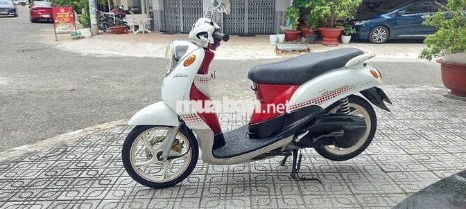 Mio clacico bs65