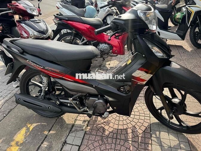 Elegant 50cc