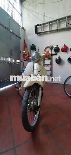 Nhà thừa chiếc cup 50cc muốn bán