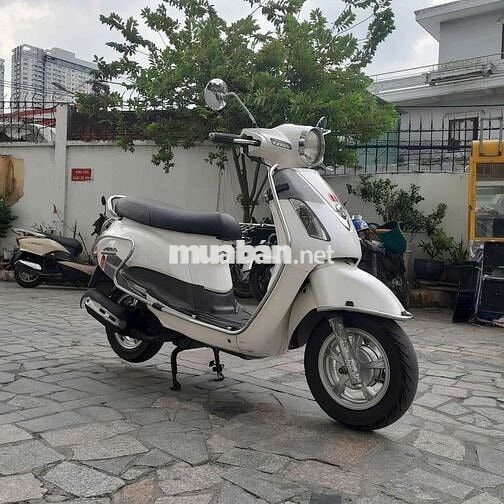 Xe alizabet giấy tờ đầy đủ