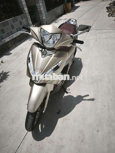 Shark 170cc 2 đĩa 9c