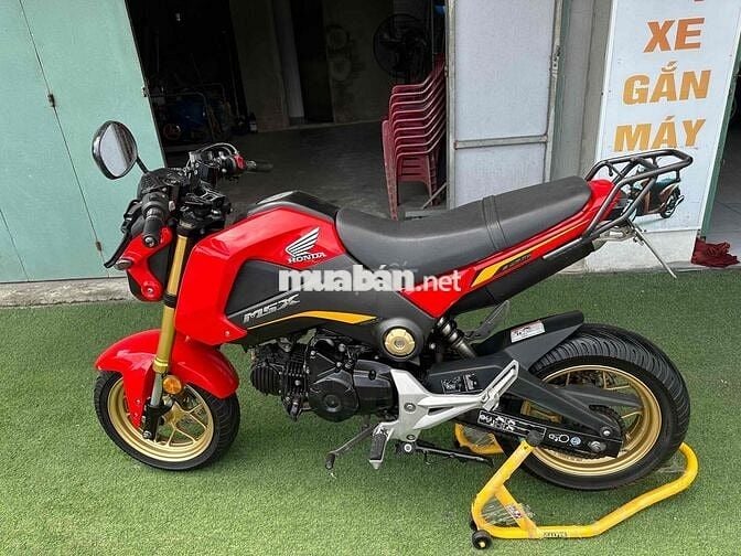 Honda MSX 125 ( góp cần cccd không nợ xấu )