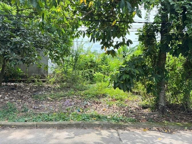 nền TĐC Minh Long - Ấp Minh Long – xã Minh Hòa –  h. Châu Thành - AG