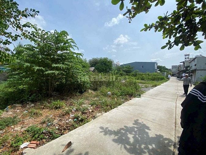 Bán lô đất sổ riêng 177,73m2 , Vĩnh Lộc - Bình Chánh