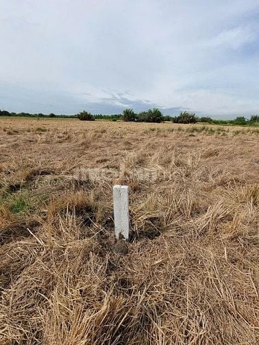  Bán gấp đất nhà vườn Phước Khánh Nhơn Trạch giá rẻ 1,8ty/2900m, sông
