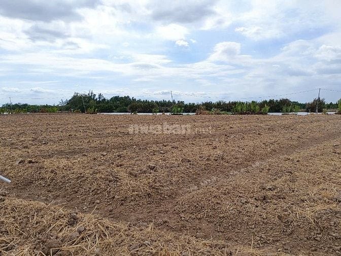  Bán gấp đất nhà vườn Phước Khánh Nhơn Trạch giá rẻ 1,8ty/2900m, sông
