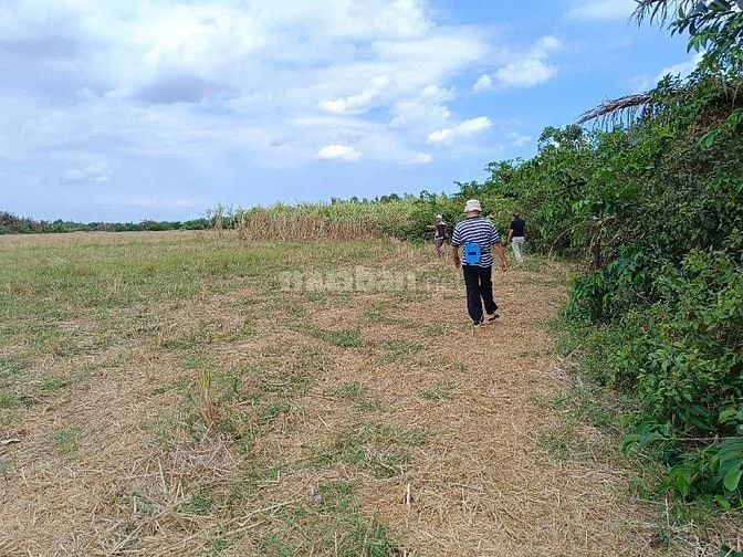  Bán gấp đất nhà vườn Phước Khánh Nhơn Trạch giá rẻ 1,8ty/2900m, sông
