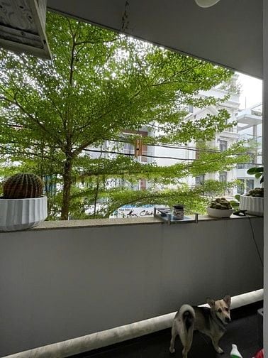 Nhà hẻm xe hơi, p.12-q.10, sát ngả 3 đi 3/2 - sư vạn hạnh - thành thái