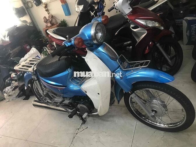 cúp 50 cc