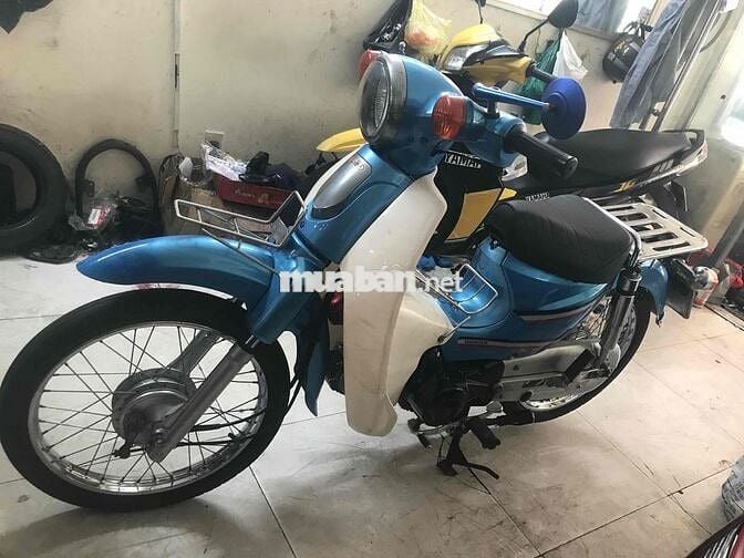 cúp 50 cc
