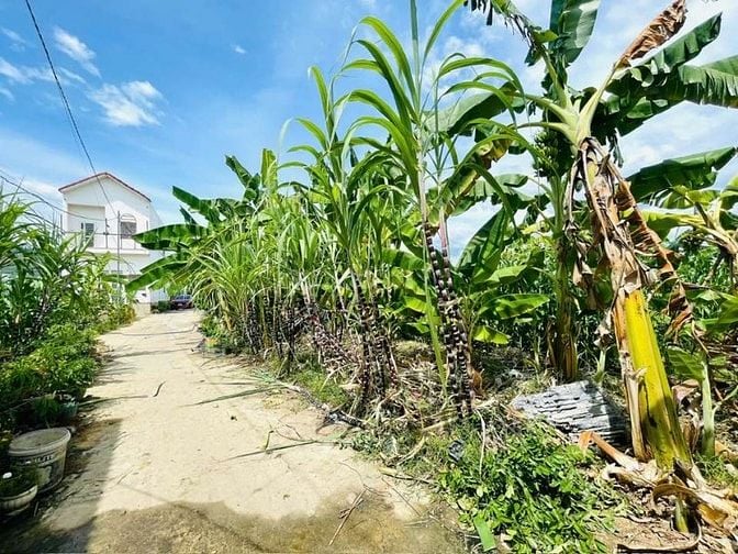 DA68 Bán đất hẻm 4m thôn Phú Ân Nam xã Diên An