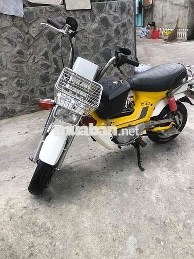 chalyfun 84