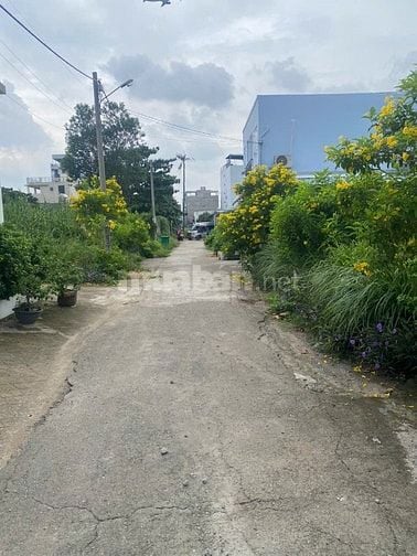 Bán đất chính chủ hẻm 253 đường Vườn Lài, P.An Phú Đông, Quận 12