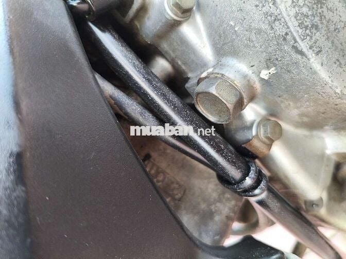 Axelo máy zin bao êm bs 67 đẹp