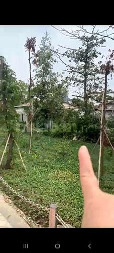 Thị trấn Cần Giuộc QL50 3237m2 full thổ 2 mặt tiền Nhựa và kè sông 