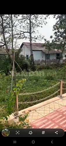 Thị trấn Cần Giuộc QL50 3237m2 full thổ 2 mặt tiền Nhựa và kè sông 