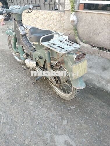 Honda Cub 50cc