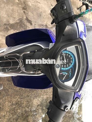sirus kiểng bs61 cccd chủ