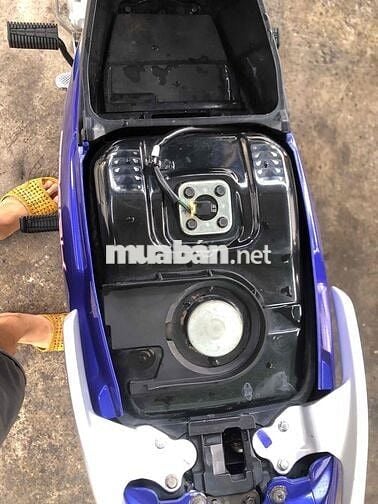 sirus kiểng bs61 cccd chủ