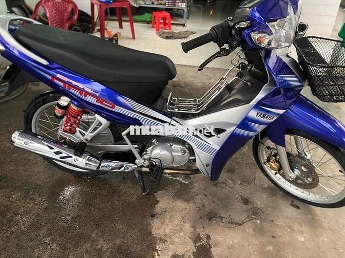 sirus kiểng bs61 cccd chủ