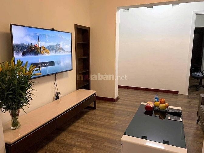 Mình chính chủ muốn bán căn TT ngõ 156 Kim Ngưu, Dtsd 105m, có trả hh 