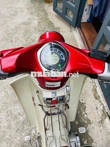 Cup 125cc