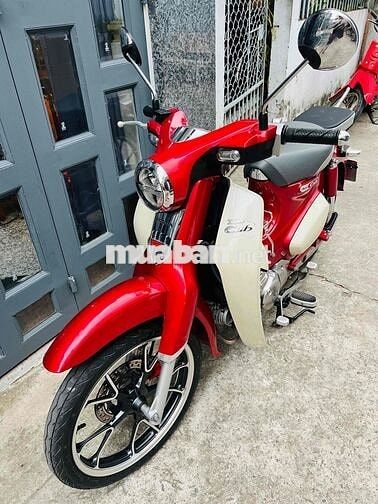 Cup 125cc