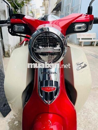 Cup 125cc