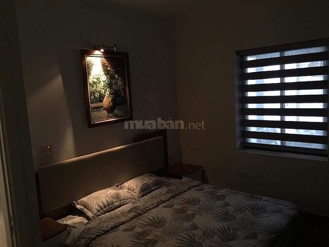 Mình chính chủ muốn bán căn TT ngõ 156 Kim Ngưu, Dtsd 105m, có trả hh 