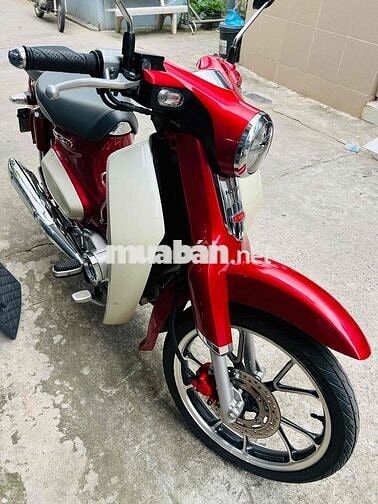 Cup 125cc