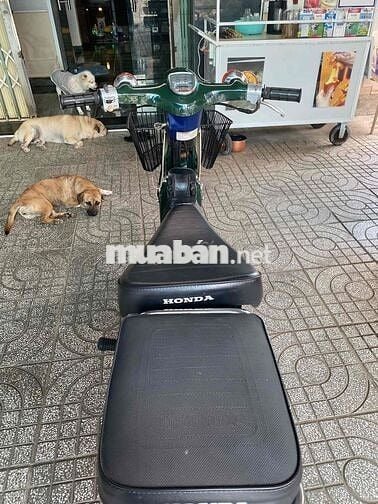 xem xe tại nhà cub 86