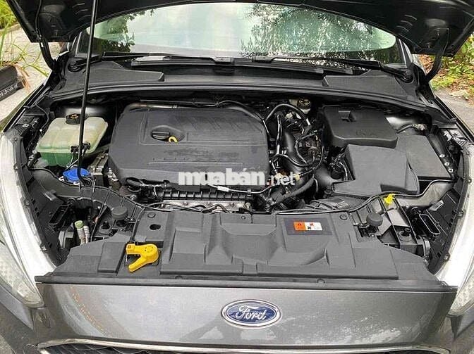 Ford Focus 2019 1.5L EcoBoost Trend (sedan)