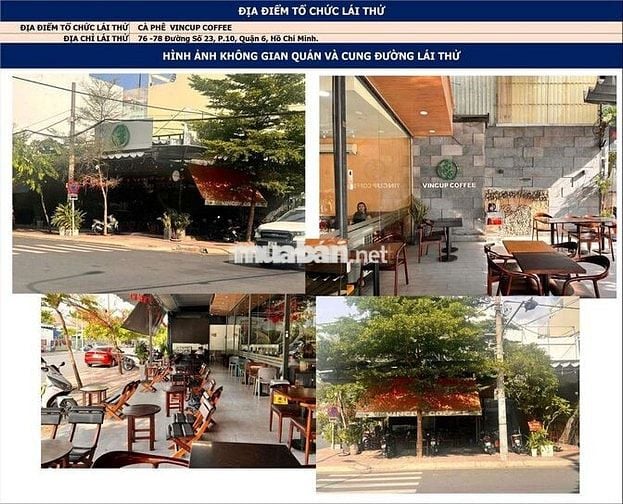 Vf6 plus lái thử - Miễn phí - Có quà ,🎁🎁