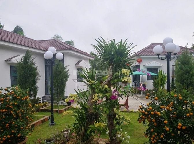 SIÊU PHẨM NGHỈ DƯỠNG GẦN THÁP MỸ SƠN – CƠ HỘI ĐẦU TƯ SINH LỜI CAO!