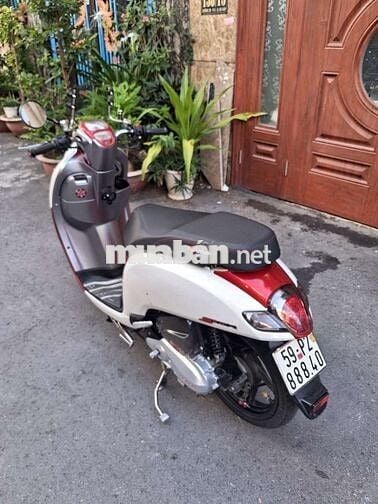Honda Scoopy 110 bstp
