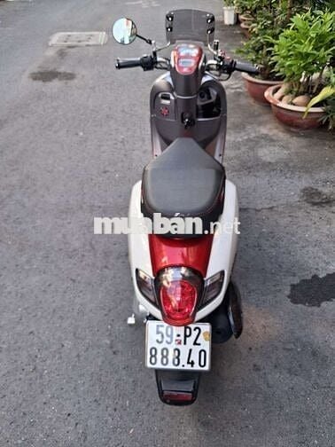 Honda Scoopy 110 bstp