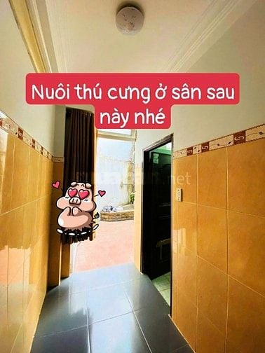 Phòng trọ Gò Vấp phòng full nội thất, sân sau thoáng mát cho nuôi pet.