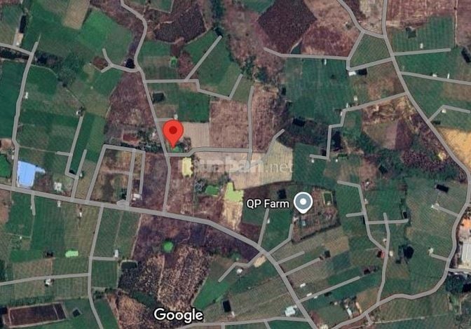 Đất nông nghiệp 4,6 ha mặt tiền 110 m chỉ 390,000đ/m² Hàm Thuận Nam