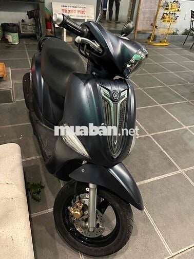 nozza máy im biển dễ nhìn