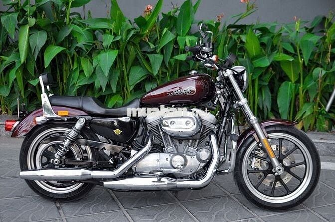 Thanh Motor cần bán Harley Davidson Superlow 883