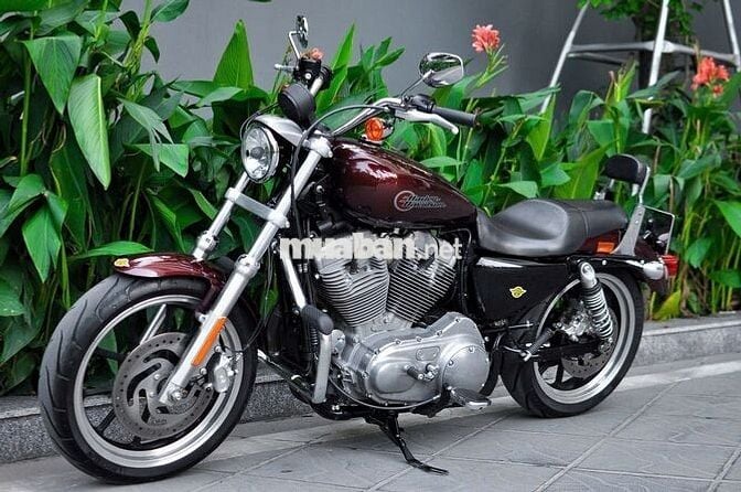 Thanh Motor cần bán Harley Davidson Superlow 883