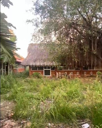 Đất thổ cư quận 12, mặt tiền lớn dài 25m, hẻm ô tô