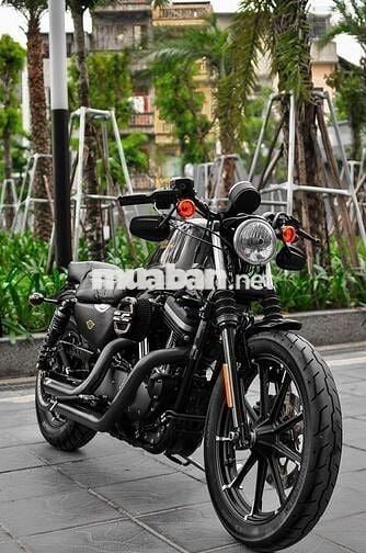 Thanh Motor cần bán Harley Davidson Iron 883 2021