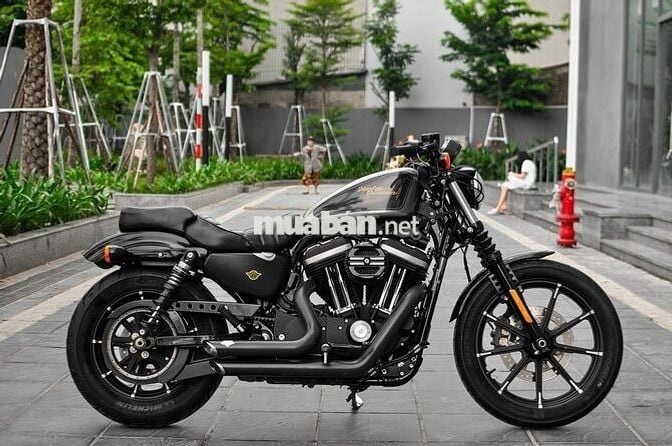 Thanh Motor cần bán Harley Davidson Iron 883 2021