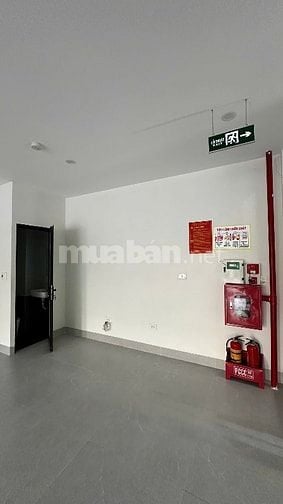 Cho thuê nhà MP mai dịch ,8 tầng Thang Máy ,thông sàn ,sẵn PCCC