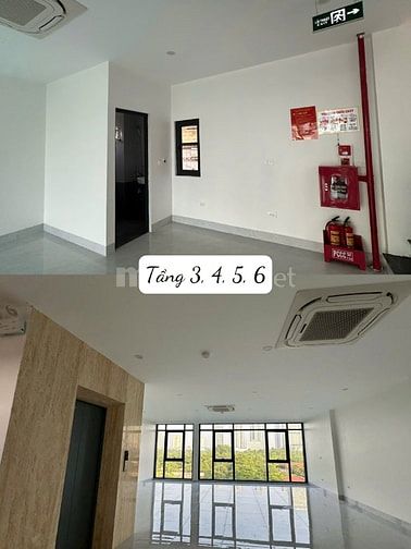 Cho thuê nhà MP mai dịch ,8 tầng Thang Máy ,thông sàn ,sẵn PCCC