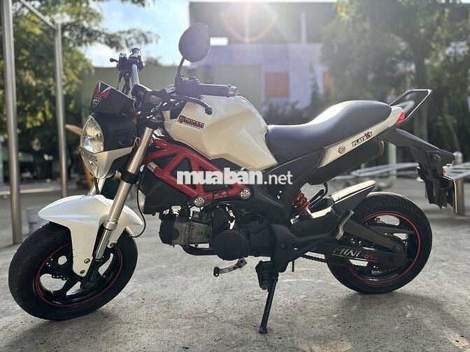 ❤🌈🤩Moto Mini Ducati 110cc,gọn , dễ thương