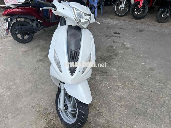 xe Fi Fily bs65 ngây chủ
